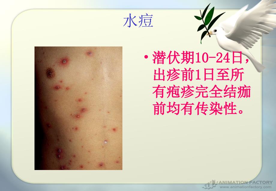 学校常见传染病预防ppt课件.ppt_第3页