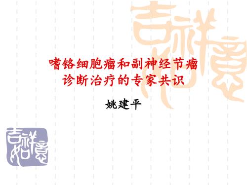 嗜铬细胞瘤和副神经节瘤诊断治疗的专家共识ppt课件.ppt