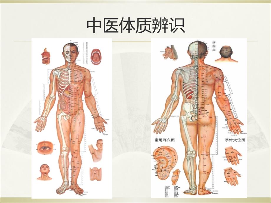 中医药健康知识讲座ppt课件.ppt_第2页