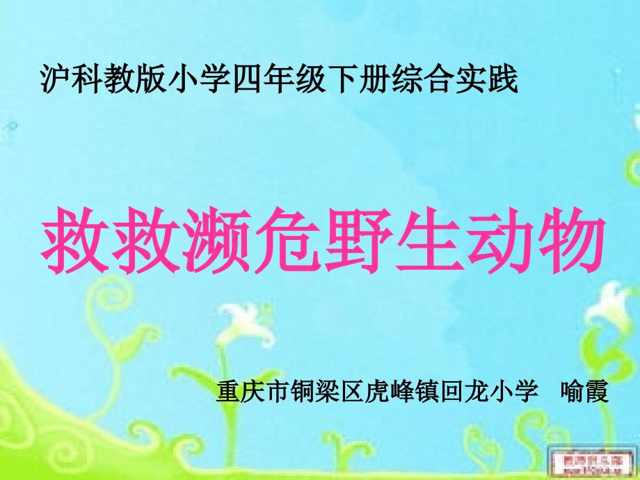 动物人类的朋友活动三救救濒危野生动物课件小学综合实践沪科教版4年级下册3949.ppt.ppt_第1页