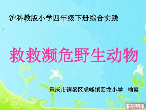 动物人类的朋友活动三救救濒危野生动物课件小学综合实践沪科教版4年级下册3949.ppt.ppt