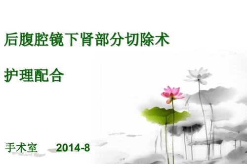后腹腔镜肾部分切除术护理配合ppt课件.ppt