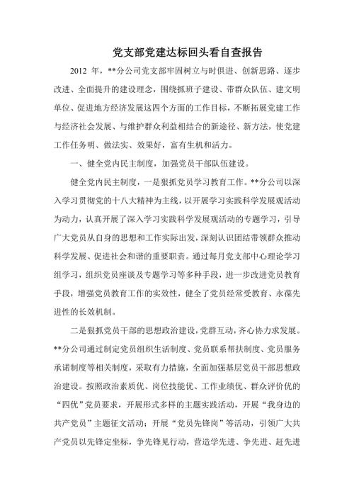 党支部党建达标回头看自查报告.doc