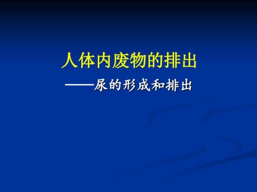人体内废物的排出吴双说课稿.ppt