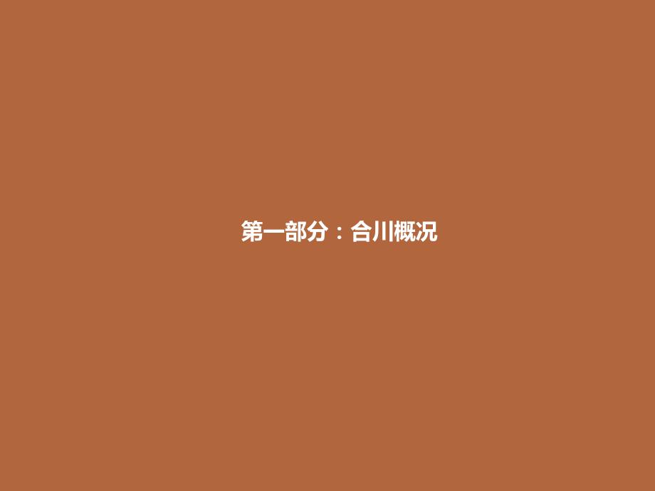 合川商业地产市场调查报告.ppt_第2页