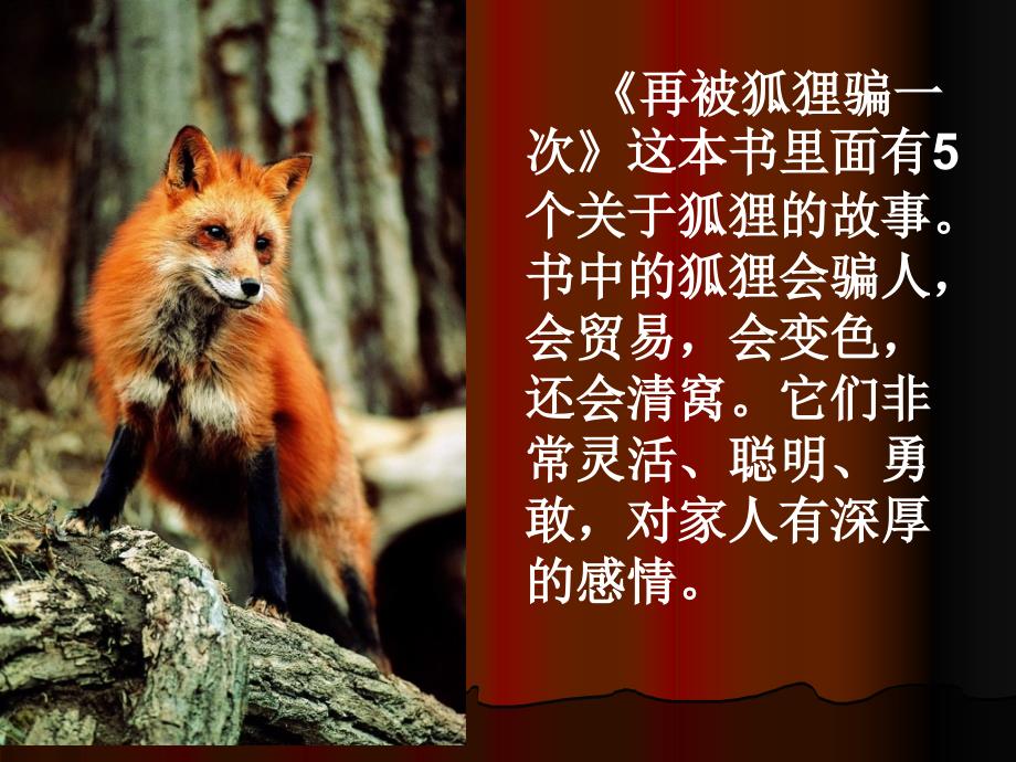 再被狐狸骗一次.ppt.ppt_第3页