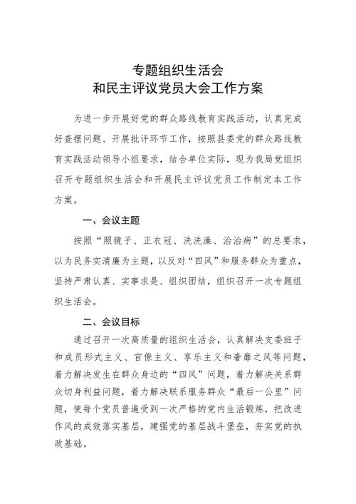 专题组织生活会工作方案.doc