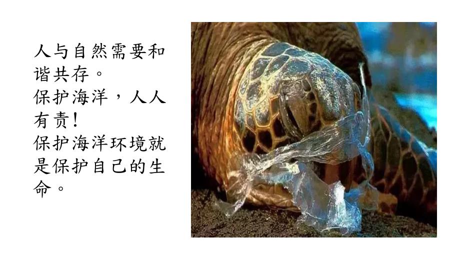呼吁保护海洋PPT课件.ppt_第2页