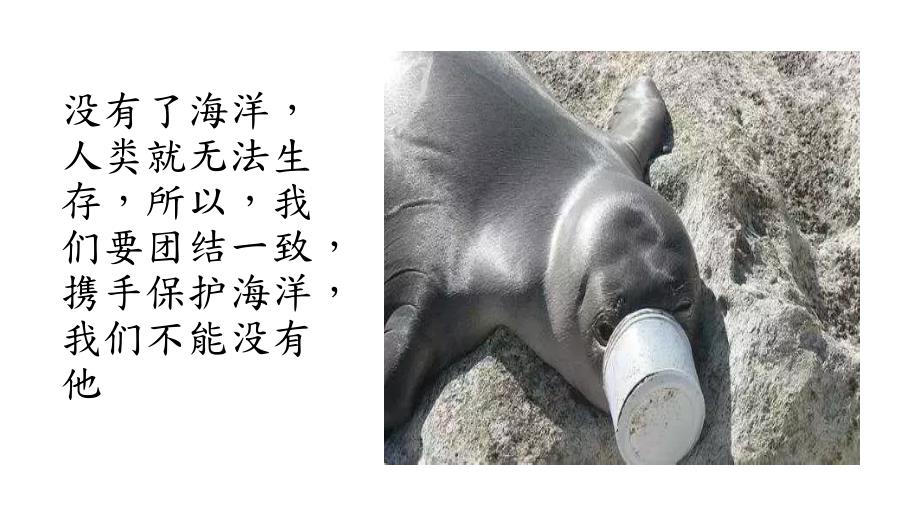 呼吁保护海洋PPT课件.ppt_第3页