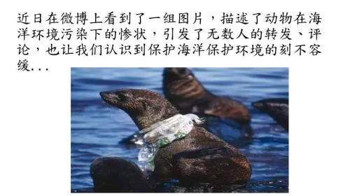呼吁保护海洋PPT课件.ppt