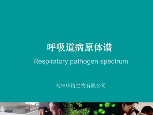 呼吸道病原体谱PPT课件.ppt
