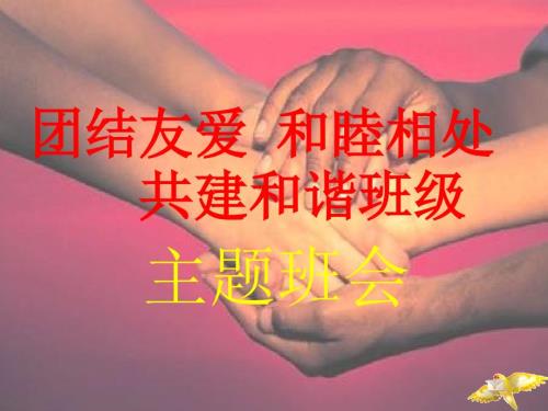团结友爱和睦共处共建和谐班级主题班会卫华小学ppt课件.ppt