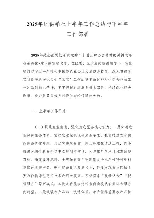 2025年区供销社上半年工作总结与下半年工作部署.docx