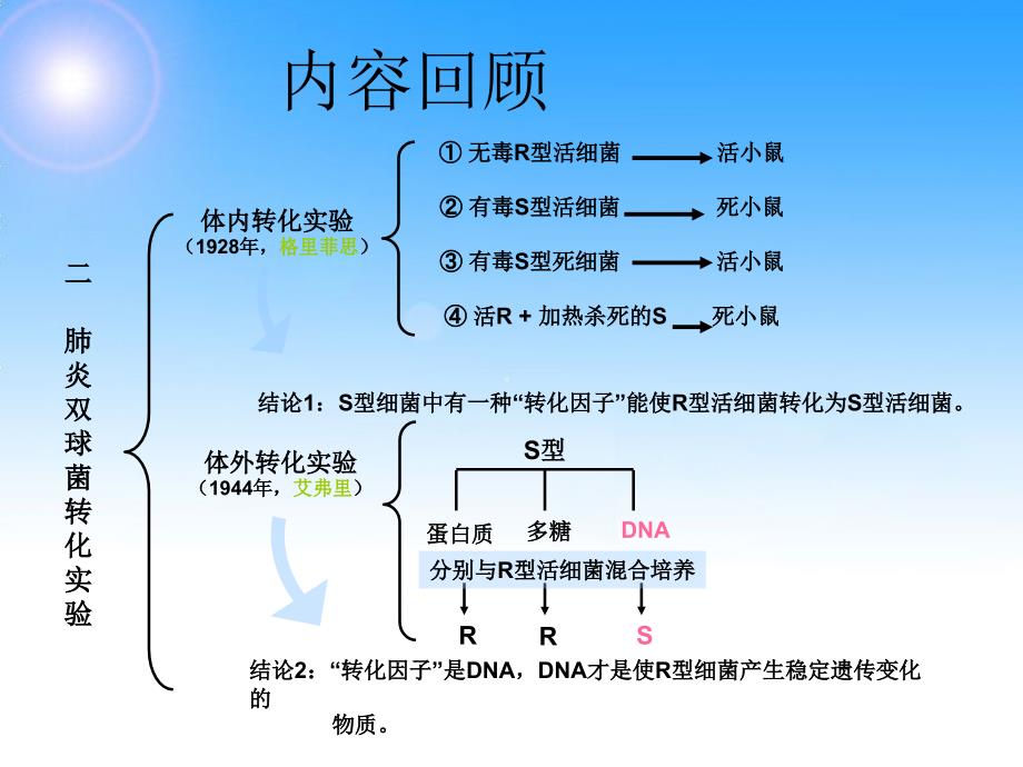 噬菌体侵染大肠细菌的实验详细版.ppt_第1页