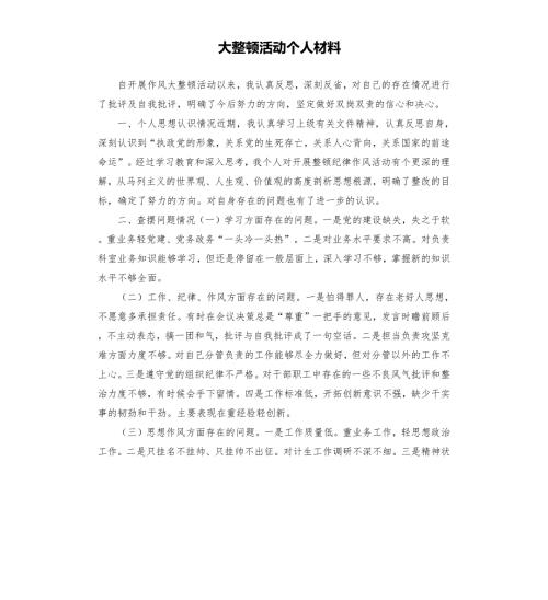 大整顿活动个人材料.docx
