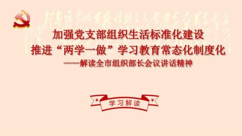 加强党支部组织生活标准化建设PPT.ppt