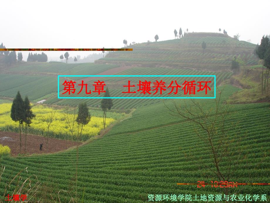 土壤学第九章土壤养分循环.ppt_第1页