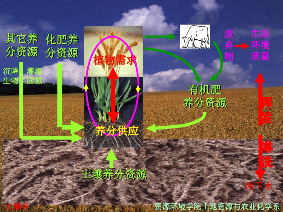 土壤学第九章土壤养分循环.ppt_第3页