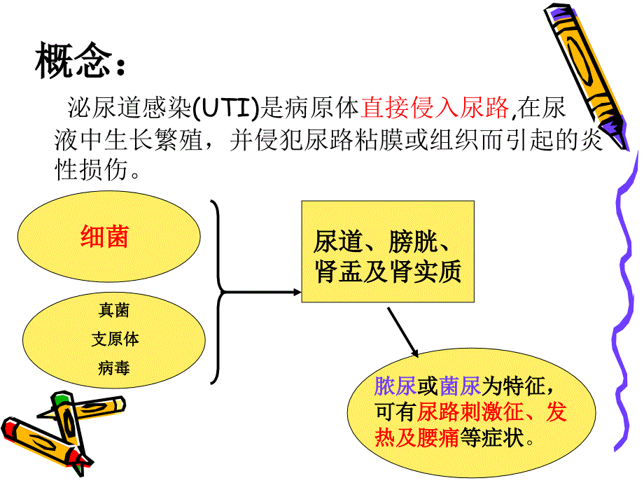 小儿泌尿道感染课件.ppt_第2页