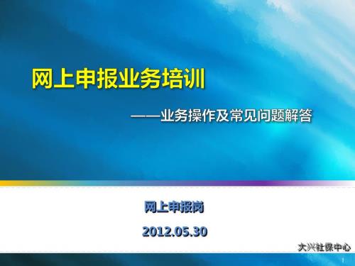 北京社会保险网上申报业务培训业务操作及常见问题解答.ppt