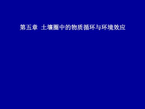 土壤圈层中的物质循环与环境效应.ppt