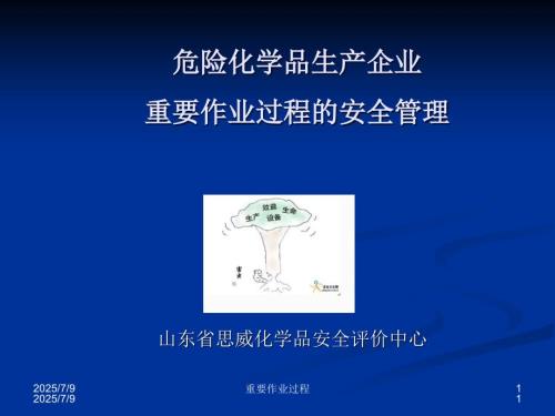 危险化学品生产企业重要过程的探讨.ppt