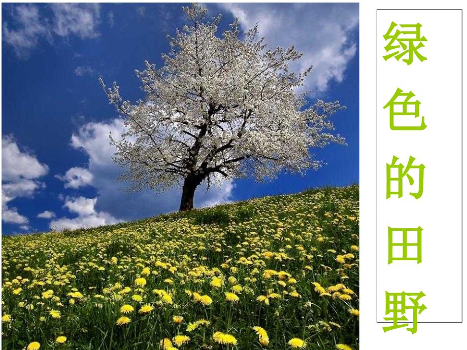寻找天的足迹PPT课件.ppt_第3页