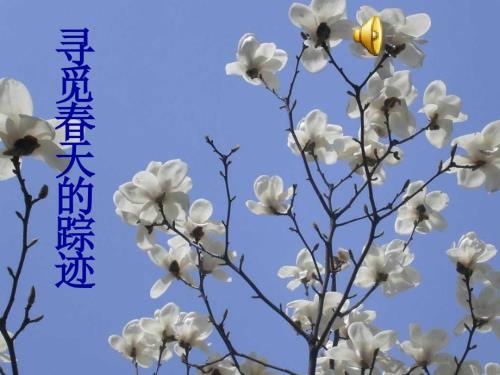 寻找天的足迹PPT课件.ppt