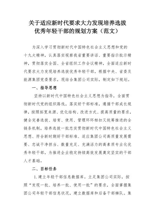 关于适应新时代要求大力发现培养选拔优秀年轻干部的规划方案范文.docx