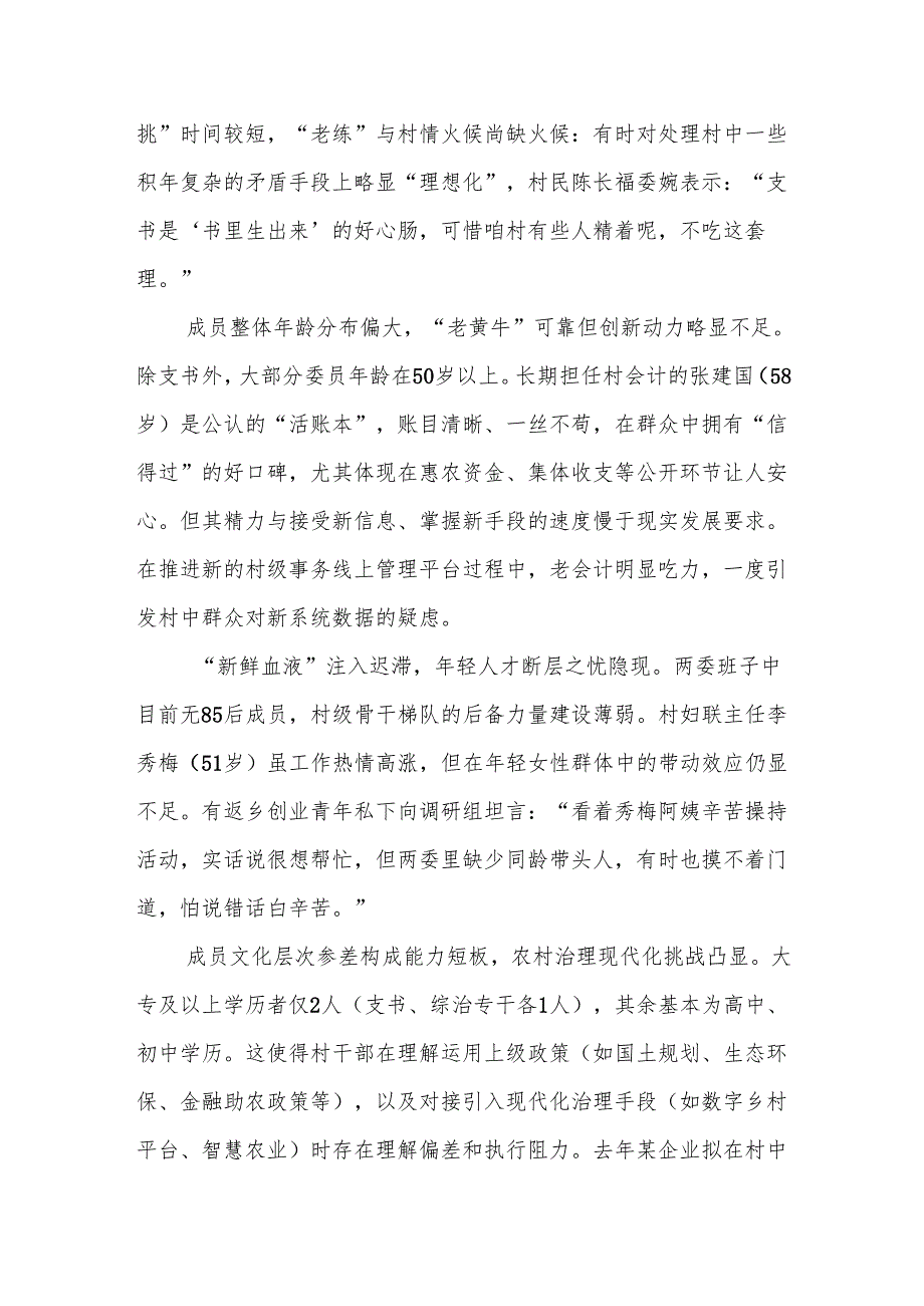 2025年XX村两委班子运行情况深度体检报告.docx_第2页