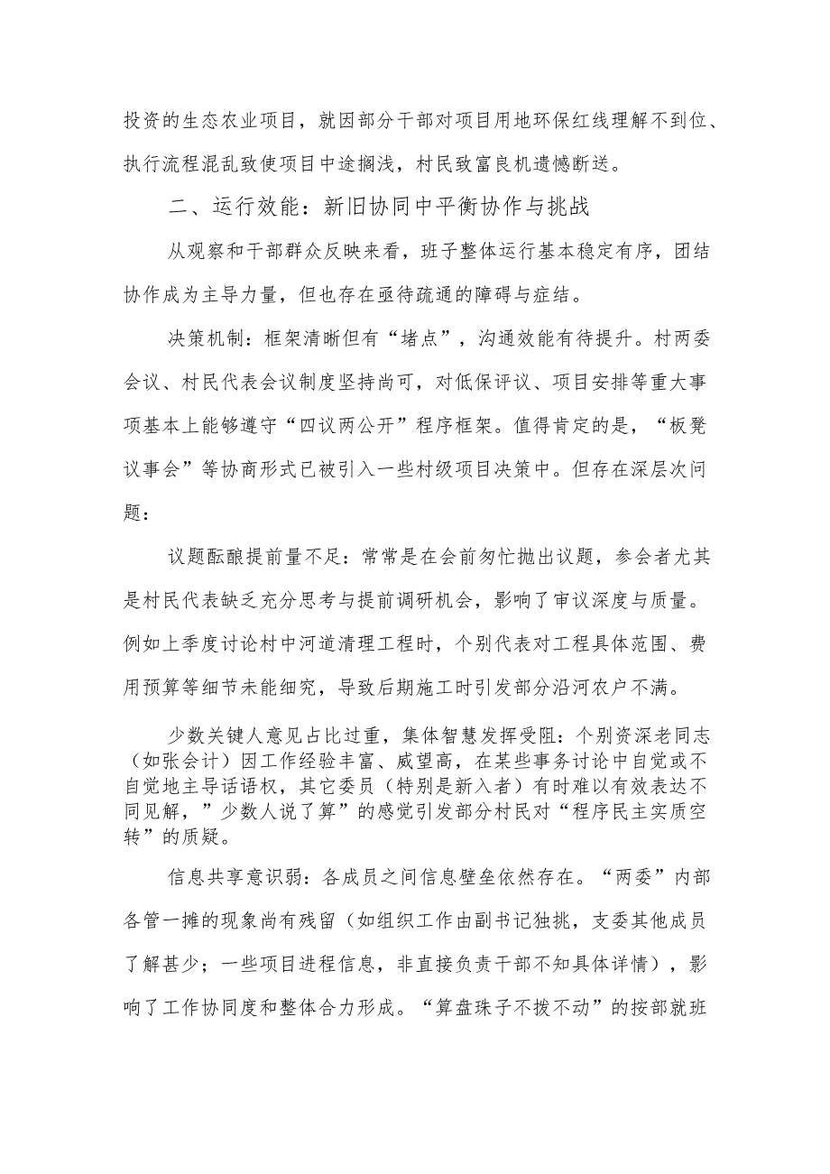2025年XX村两委班子运行情况深度体检报告.docx_第3页