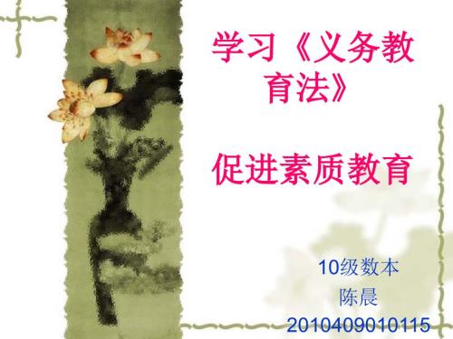 学习义务教育法PPT课件.ppt
