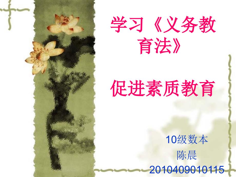 学习义务教育法PPT课件.ppt_第1页