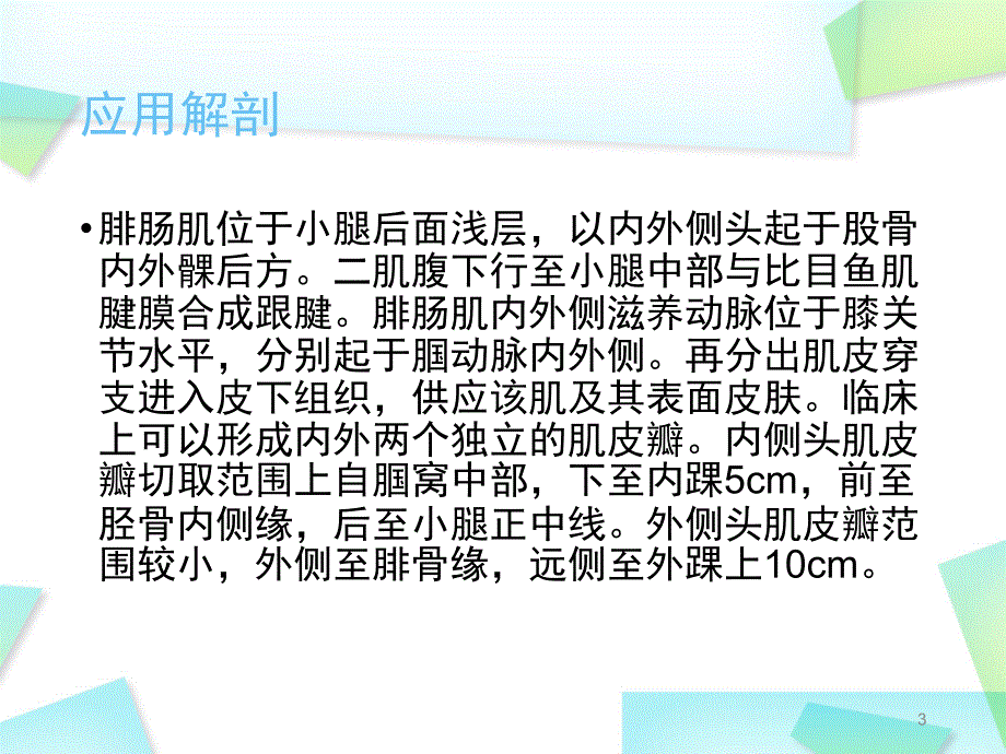 优质医学腓肠肌肌皮瓣.ppt_第3页