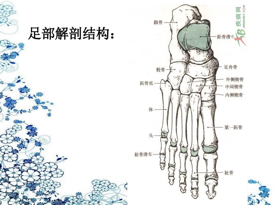 右足第23跖骨骨折足背软组织缺损护理查房.ppt_第2页