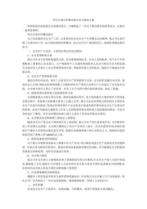 单位自查自纠整改报告范文精选5篇.docx