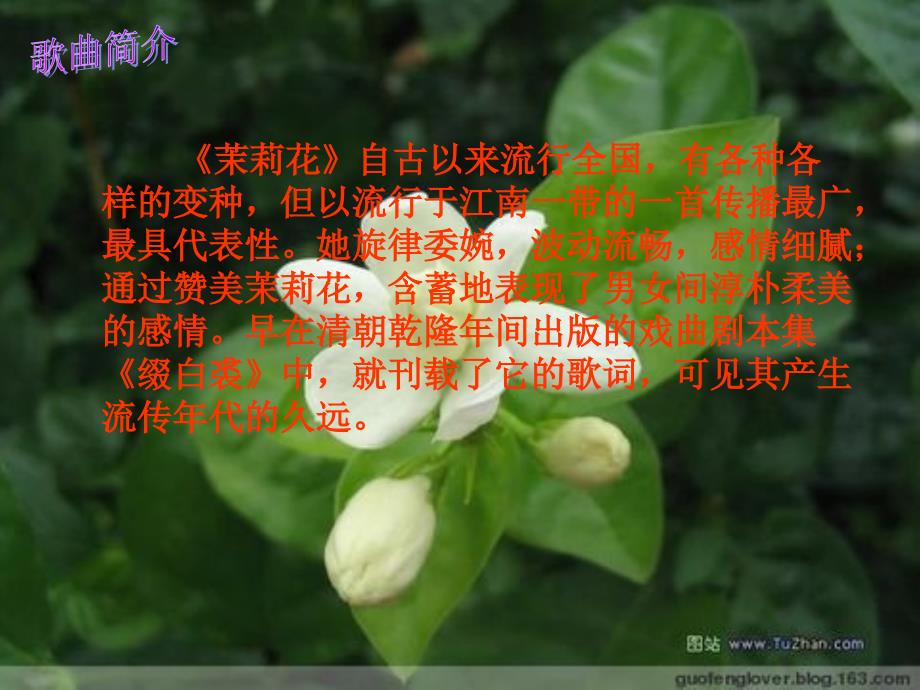 人音版音乐六上第1课芬芳茉莉ppt课件1.ppt_第3页