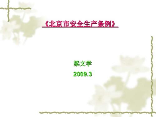 北京市安全生产条例.ppt