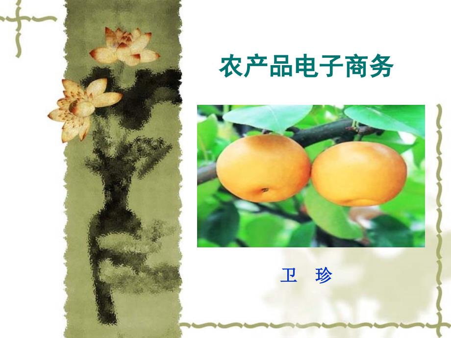 农产品电子商务PPT课件.ppt_第1页