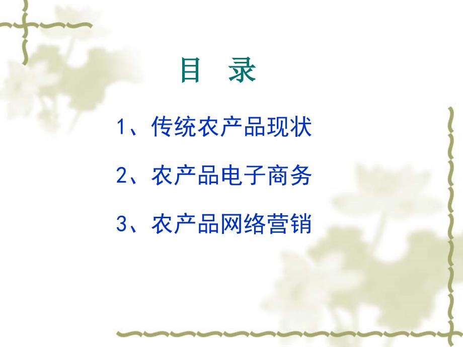 农产品电子商务PPT课件.ppt_第2页