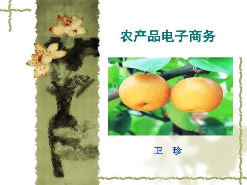 农产品电子商务PPT课件.ppt