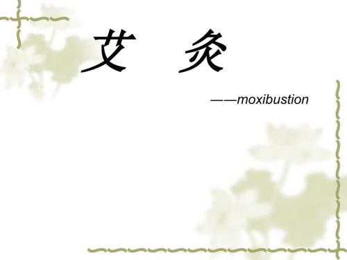 中医艾灸讲座PPT课件.ppt