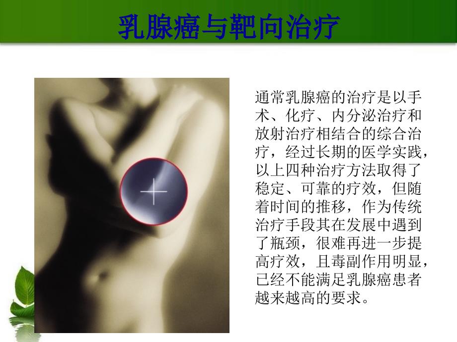 乳腺癌的靶向治疗PPT课件.ppt_第3页