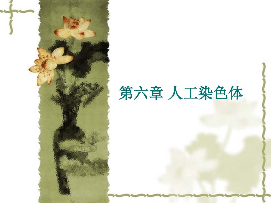 人工染色体PPT课件.ppt_第1页