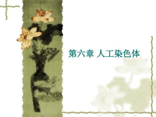 人工染色体PPT课件.ppt