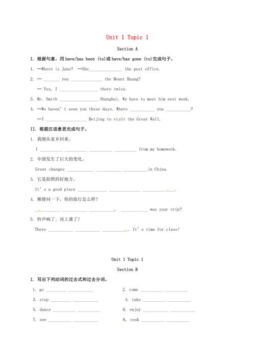 九年级英语上册Unit1Topic1Ourcountryhasdevelopedrapidly校本作业新版仁爱版.doc