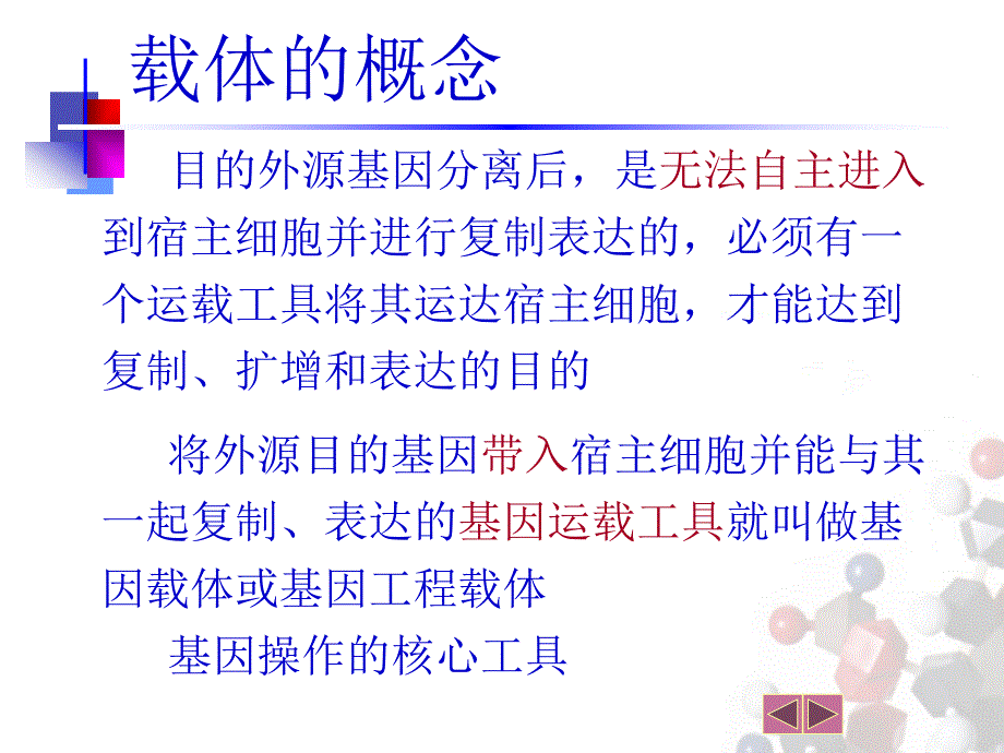 基因工程克隆载体09.pptx_第3页