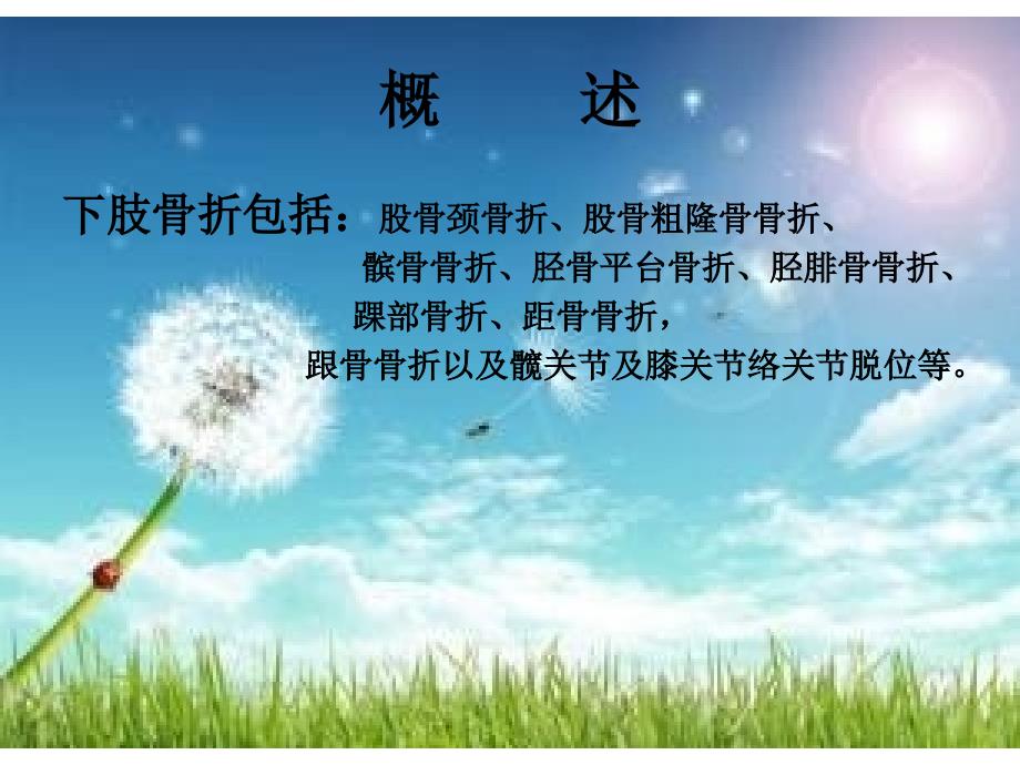 下肢骨折病人的中医护理ppt课件.pptx_第2页