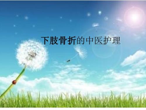 下肢骨折病人的中医护理ppt课件.pptx