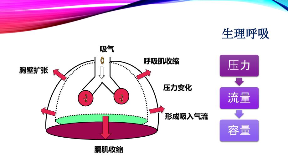 呼吸机波形分析PPT课件.pptx_第2页